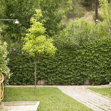 Blue Crab, Beachfront House In Kalandra #feelslikehome *